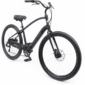 electra-townie-go-7d-step-over-403670-12 (1)