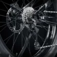 Cyrusher-ebike-nitro-gears