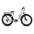 HAOQI_Upgraded_Eagle_Long_Range_Electric_Bicycle